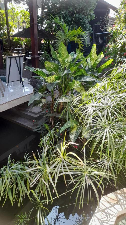 Tempat Tidur & Sarapan Valhalla Boutique Salatiga